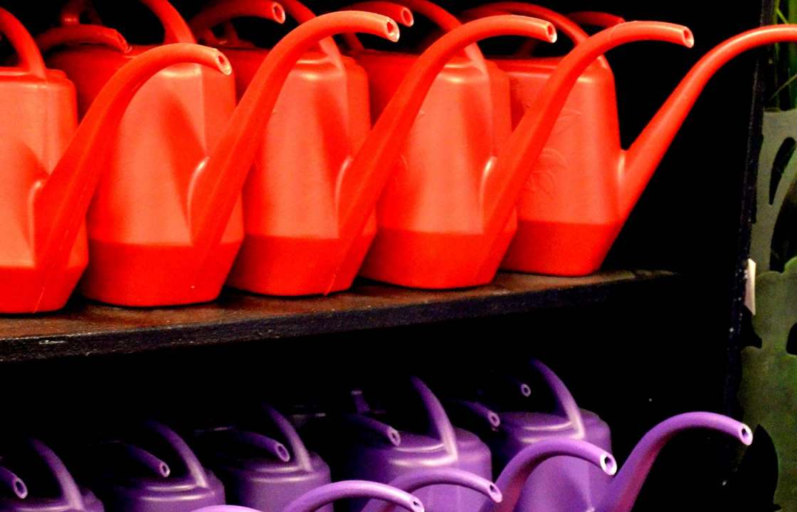 coloured watering cans