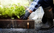 Basic Gardening Terms Often Used Basic Gardening Terms Often Used