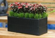 Year-round containers Year-round containers