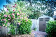 Garden Buildings don't have to be sheds Garden Buildings don't have to be sheds