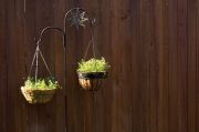 Edible hanging baskets