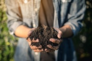 How to Choose the Right Type of Soil for Your Plant?
