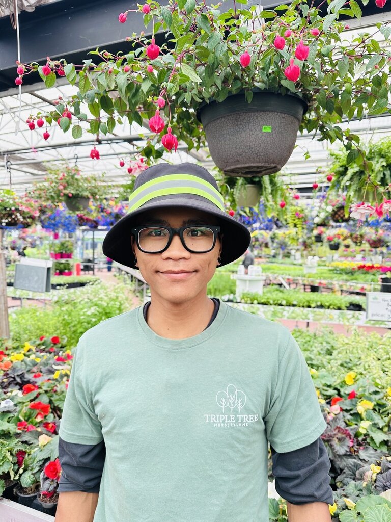 ROMEL ROMEL