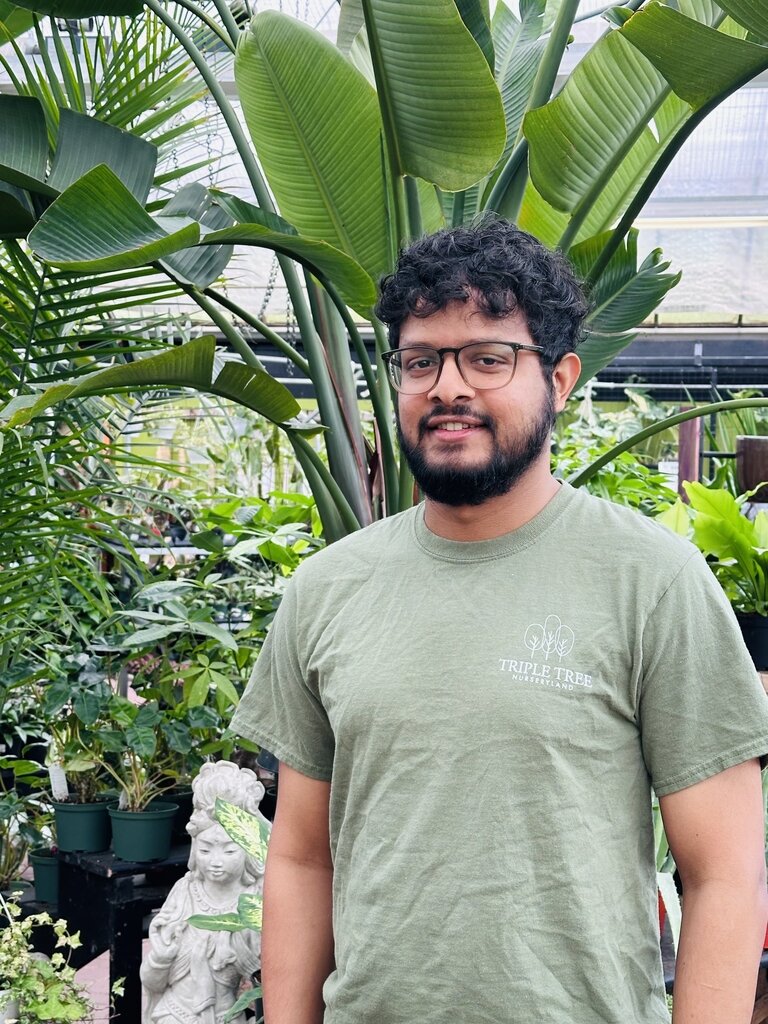 SAURAV SAURAV