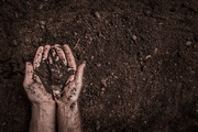 When to Use Fish Soil? When to Use Fish Soil?