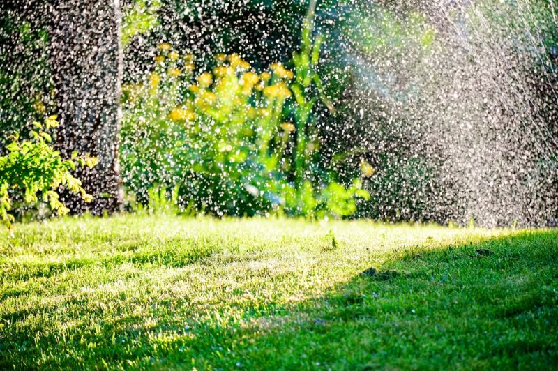 7 Ways to Help Your Garden Cope With Heat Waves