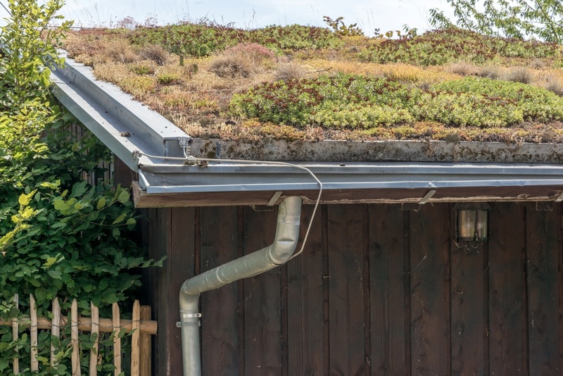 Add a green roof to your shed