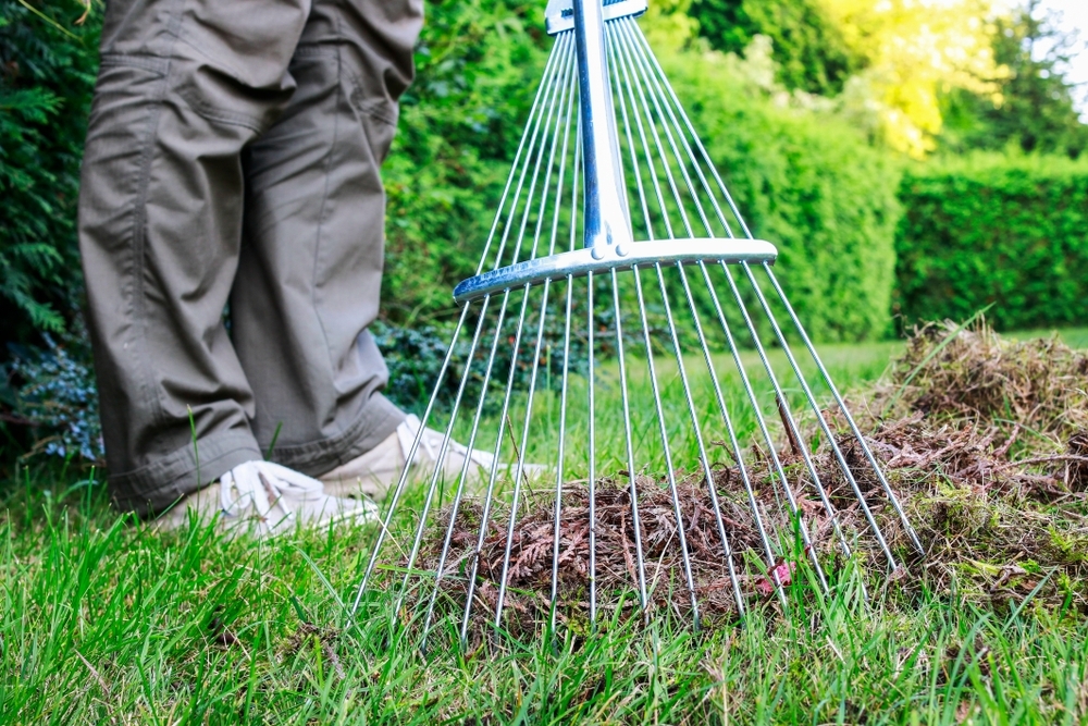 Autumn lawn care guide - Triple Tree Nurseryland