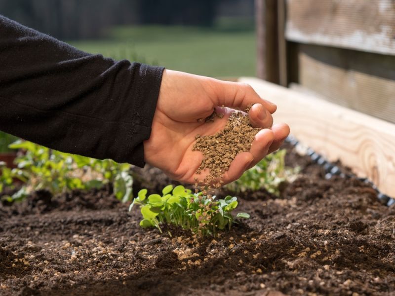 Explaining Plant Food and Fertilizers