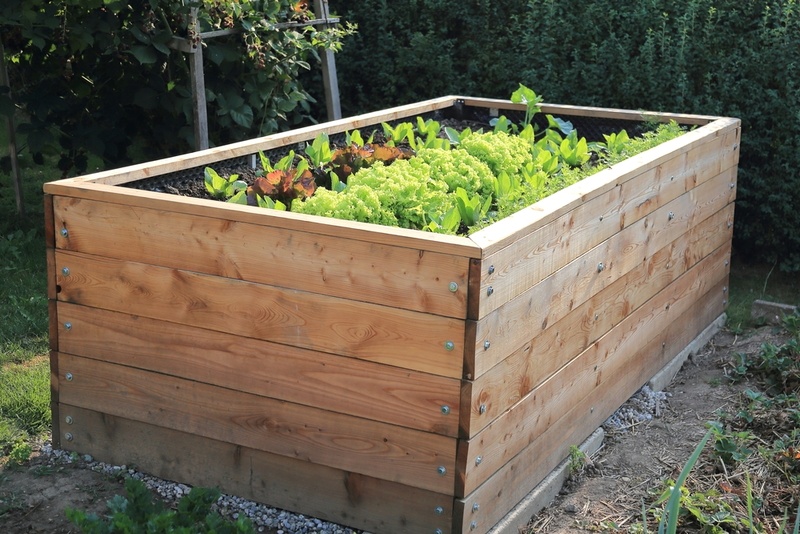 How to Build a Raised Bed