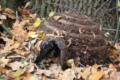 How to Make a Hedgehog House