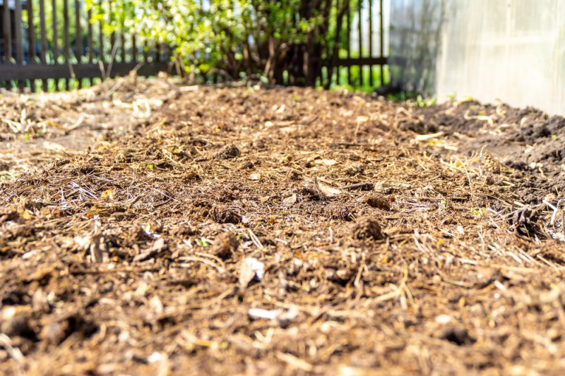 Image of Well rotted manure improve drainage