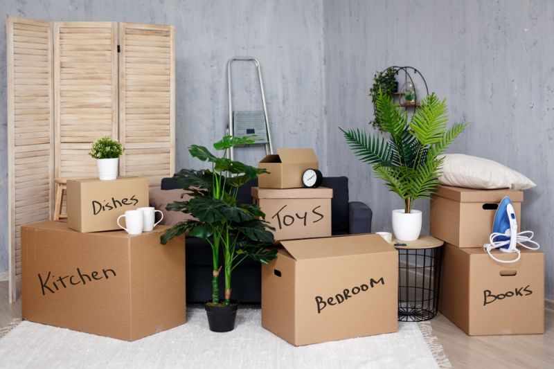 Move house without damaging your plantsMove House Without Damaging Your Plants