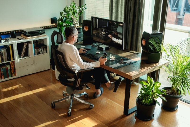 Plants for the (Home) Office