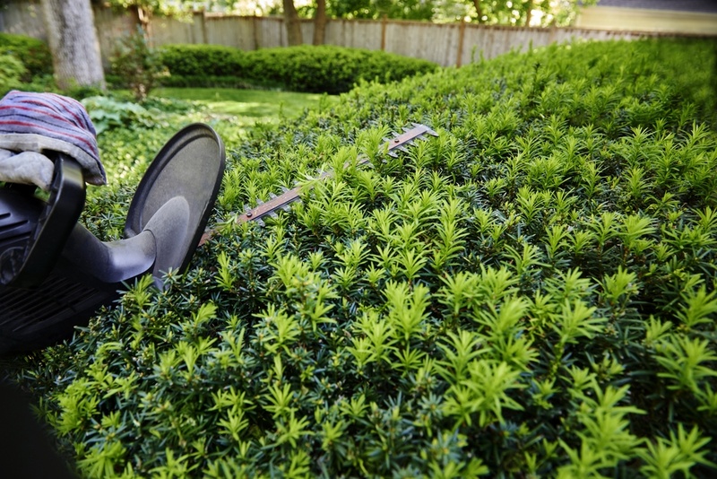 Top 5 alternatives to box hedging