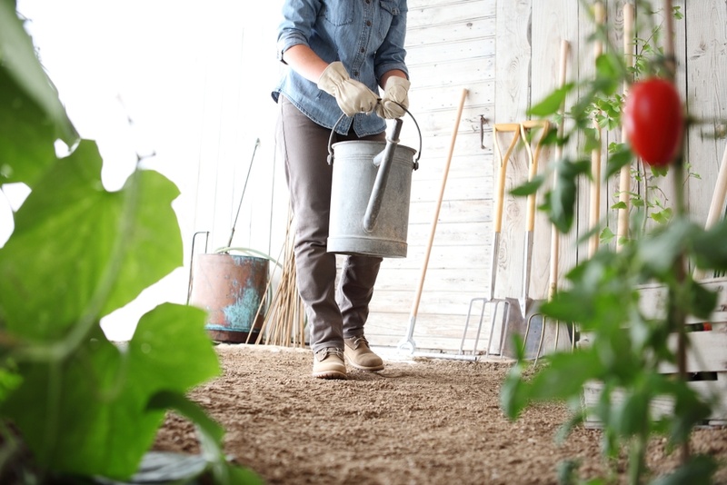 Top 6 Reasons to Start Organic Gardening