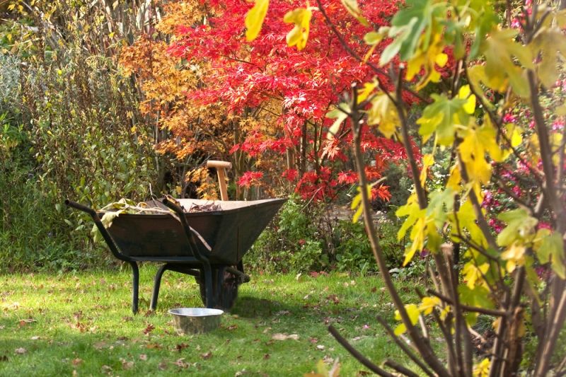 Why Autumn’s the Best Time to Garden