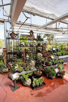 Garden centre
