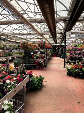 Garden centre