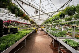 Garden centre