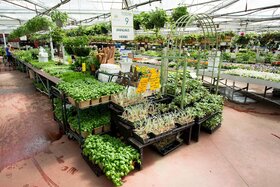 Garden centre