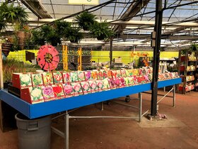 Garden centre