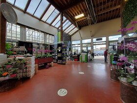 Garden centre