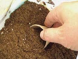 Potting soil