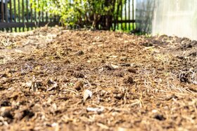 Potting soil