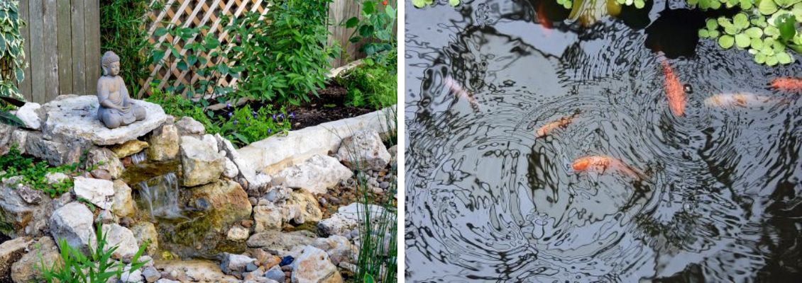 Pond supplies