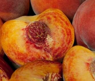 Blazingstar Peach Tree