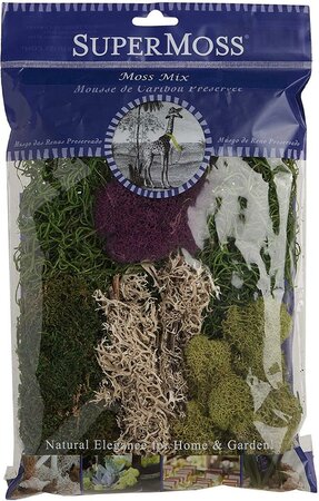 Preserved Moss Delaware Mix
