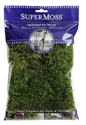 Preserved Forest Moss