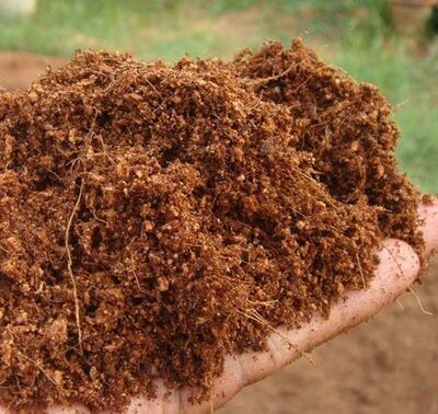 Coconut Coir - Loose-filled Bag
