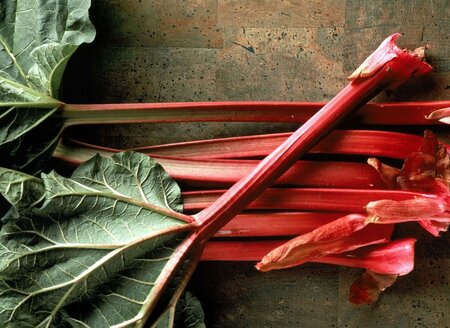 Strawberry Red Rhubarb - image 2