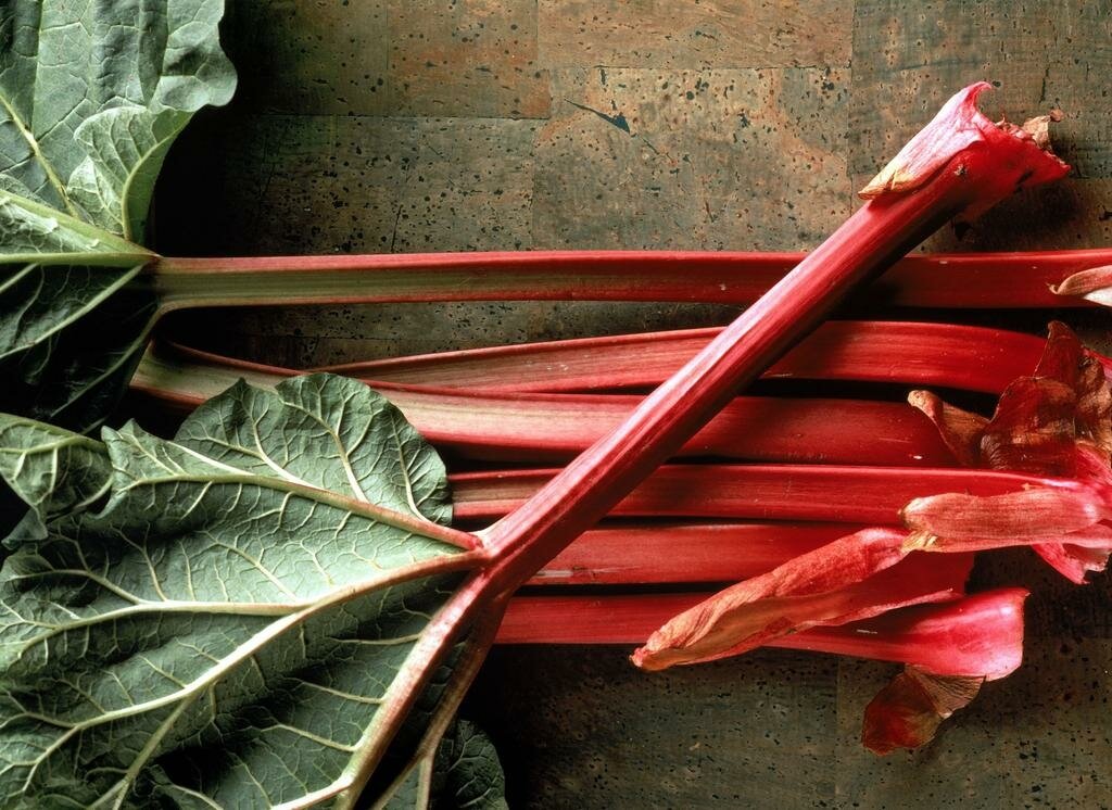Strawberry Red Rhubarb - Triple Tree Nurseryland