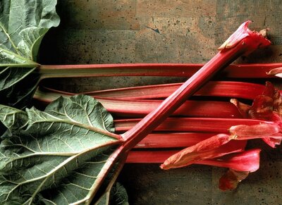 Strawberry Red Rhubarb - image 1