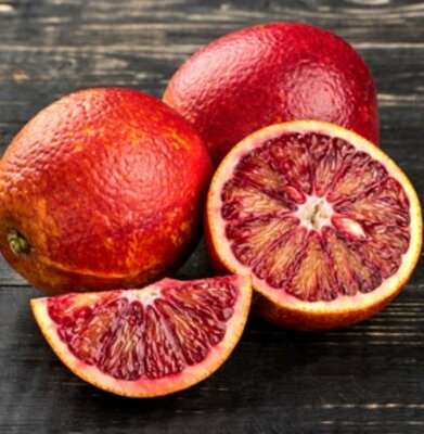 Tarocco #7 Blood Orange Plant - image 1