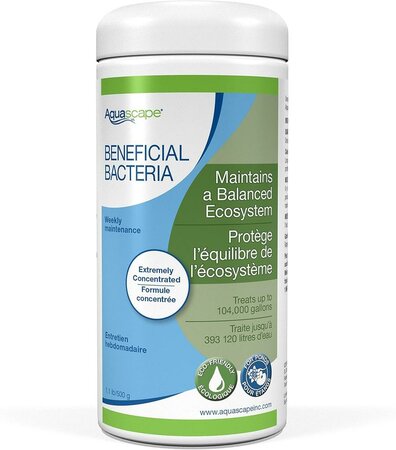 Beneficial Bacteria Concentrate For