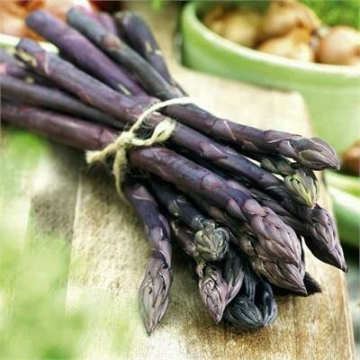 Purple Passion Asparagus