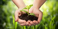 Plant Care
