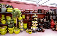 Planters