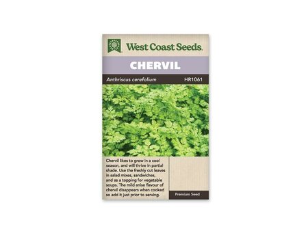 Chervil