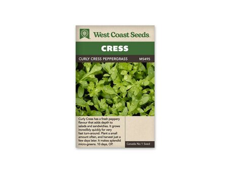 Curly Cress Peppergrass
