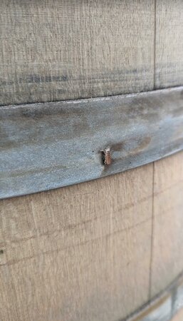 Full Wine Barrel Sale - image 3